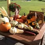 Winslow Farms Pumpkin Patch photo