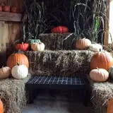 Winslow Farms Pumpkin Patch photo