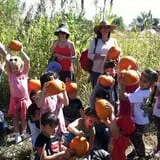 Rio Grande Community Farm Corn Maze photo
