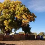 Rio Grande Community Farm Corn Maze photo