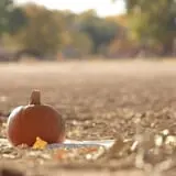 Rio Grande Community Farm Corn Maze photo