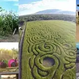 Rio Grande Community Farm Corn Maze photo