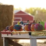Rio Grande Community Farm Corn Maze photo