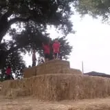 Rio Grande Community Farm Corn Maze photo