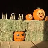 Rio Grande Community Farm Corn Maze photo