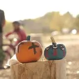 Rio Grande Community Farm Corn Maze photo