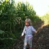 Rio Grande Community Farm Corn Maze photo