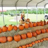 Pipe Creek Pumpkin Patch photo