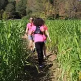 Wells Hollow Farm & Creamery Corn Maze photo