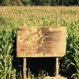 Wells Hollow Farm & Creamery Corn Maze photo