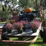 Wells Hollow Farm & Creamery Corn Maze photo