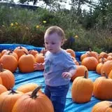 McKenzie Farm photo