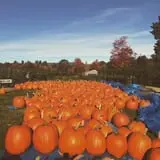 McKenzie Farm photo