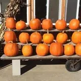 McKenzie Farm photo