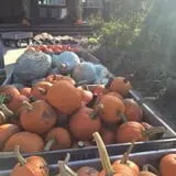 McKenzie Farm photo