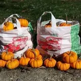 McKenzie Farm photo