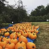 McKenzie Farm photo