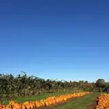 McKenzie Farm photo