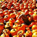 McKenzie Farm photo