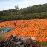 McKenzie Farm photo