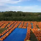 McKenzie Farm photo