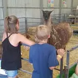 Green Acres Corn Maze photo