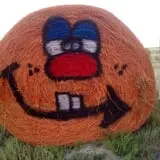 Green Acres Corn Maze photo
