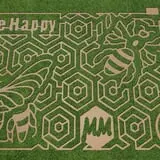 Green Acres Corn Maze photo