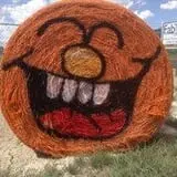 Green Acres Corn Maze photo