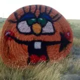 Green Acres Corn Maze photo