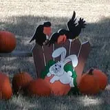 Elves Farm Pumpkin Patch photo