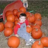 Elves Farm Pumpkin Patch photo
