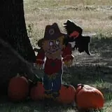 Elves Farm Pumpkin Patch photo