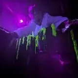 The Haunt in Atascadero: Frankenstein’s Monsters Re-Stitched photo
