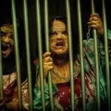The Haunt in Atascadero: Frankenstein’s Monsters Re-Stitched photo