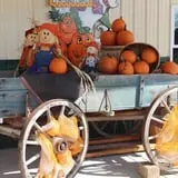 Naylor Family Farm & Giant Corn Maze photo