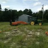 Naylor Family Farm & Giant Corn Maze photo