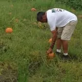 Naylor Family Farm & Giant Corn Maze photo