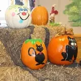 Naylor Family Farm & Giant Corn Maze photo