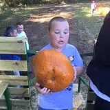 Naylor Family Farm & Giant Corn Maze photo