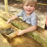 Naylor Family Farm & Giant Corn Maze photo