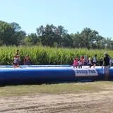 Naylor Family Farm & Giant Corn Maze photo