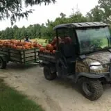 Naylor Family Farm & Giant Corn Maze photo