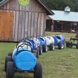 Naylor Family Farm & Giant Corn Maze photo