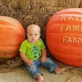 Naylor Family Farm & Giant Corn Maze photo