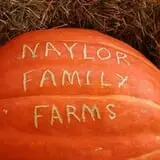 Naylor Family Farm & Giant Corn Maze photo