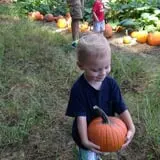 Naylor Family Farm & Giant Corn Maze photo