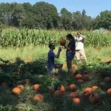 Naylor Family Farm & Giant Corn Maze photo