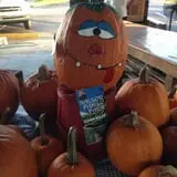 Naylor Family Farm & Giant Corn Maze photo