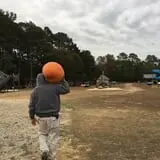 Naylor Family Farm & Giant Corn Maze photo